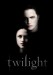 Twilight_fan_made_poster_by_mimeto92.jpg